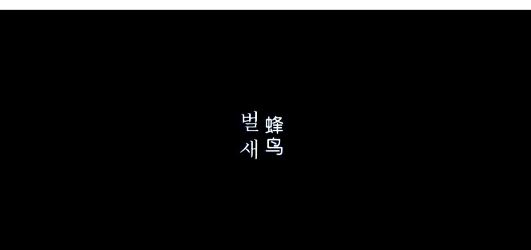 IMAX影院观影指南：解锁沉浸式巨幕体验，长尾关键词：IMAX影院推荐、IMAX电影片单、IMAX最佳座位