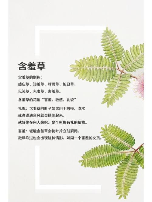 18岁以下禁止进入的网站在线观看的相关介绍