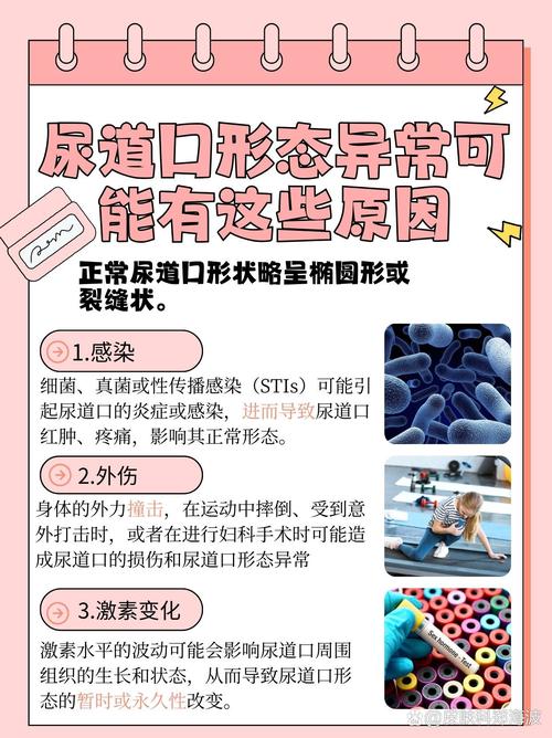 嫩草影院网站进入的相关介绍