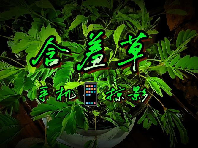 老湿影院48x下在线观看高清资源，免费畅享最新影视剧集
