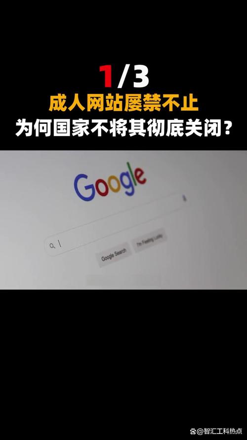 久久精品久久久精品久久的相关介绍