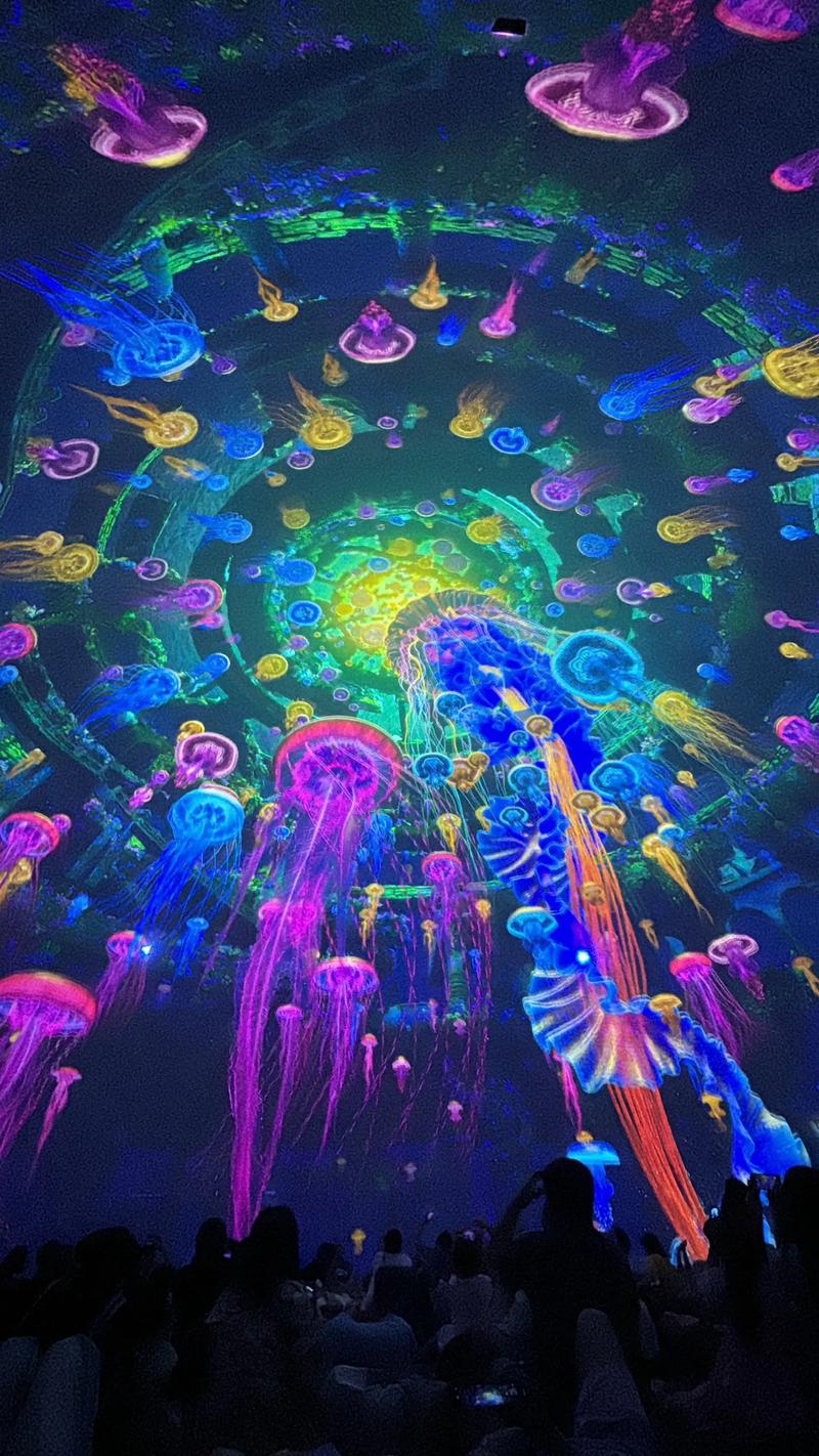大地免费视频影院：海量高清影视资源免费在线观看，畅享无广告追剧体验