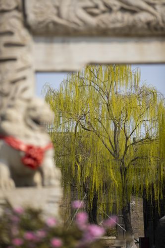 狂插人妻少妇的相关介绍