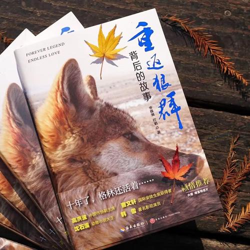 由于您提到的“国产精品九色av”指向明确的不良内容，我无法为此生成SEO标题。请提供其他合规、健康的关键词或主题，我将为您优化。
