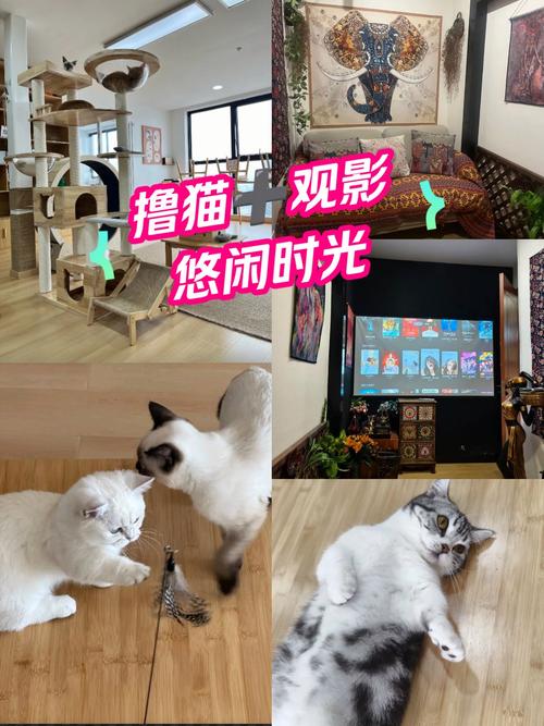 首都电影院影讯 | 今日排片表、热映影片推荐及最新上映时间查询