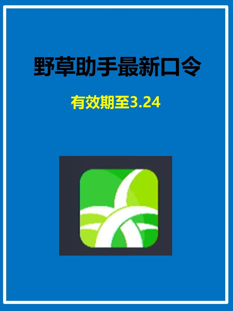 亚洲少妇熟女的优雅蜕变：成熟魅力、生活智慧与时尚穿搭指南