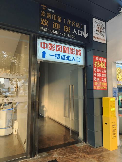 大码人妻的相关介绍