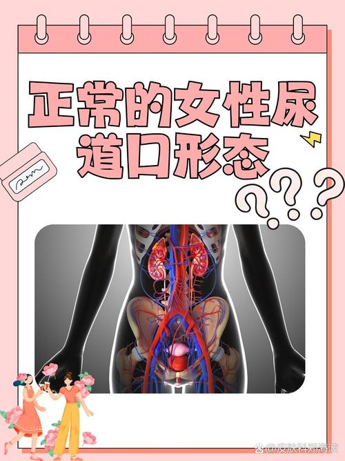 日本精油按摩bd的相关介绍